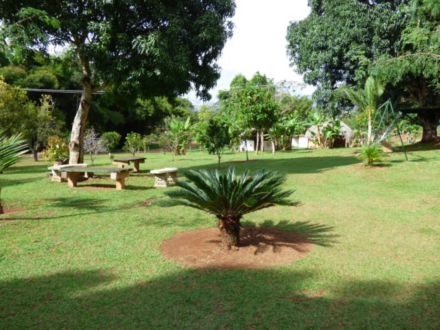 parque 2