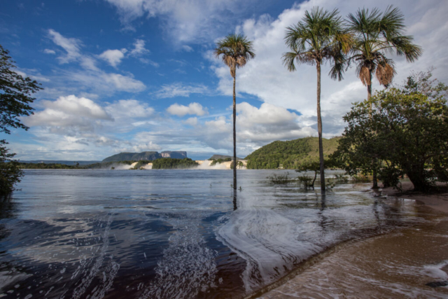 A.H. LAGUNA DE CANAIMA